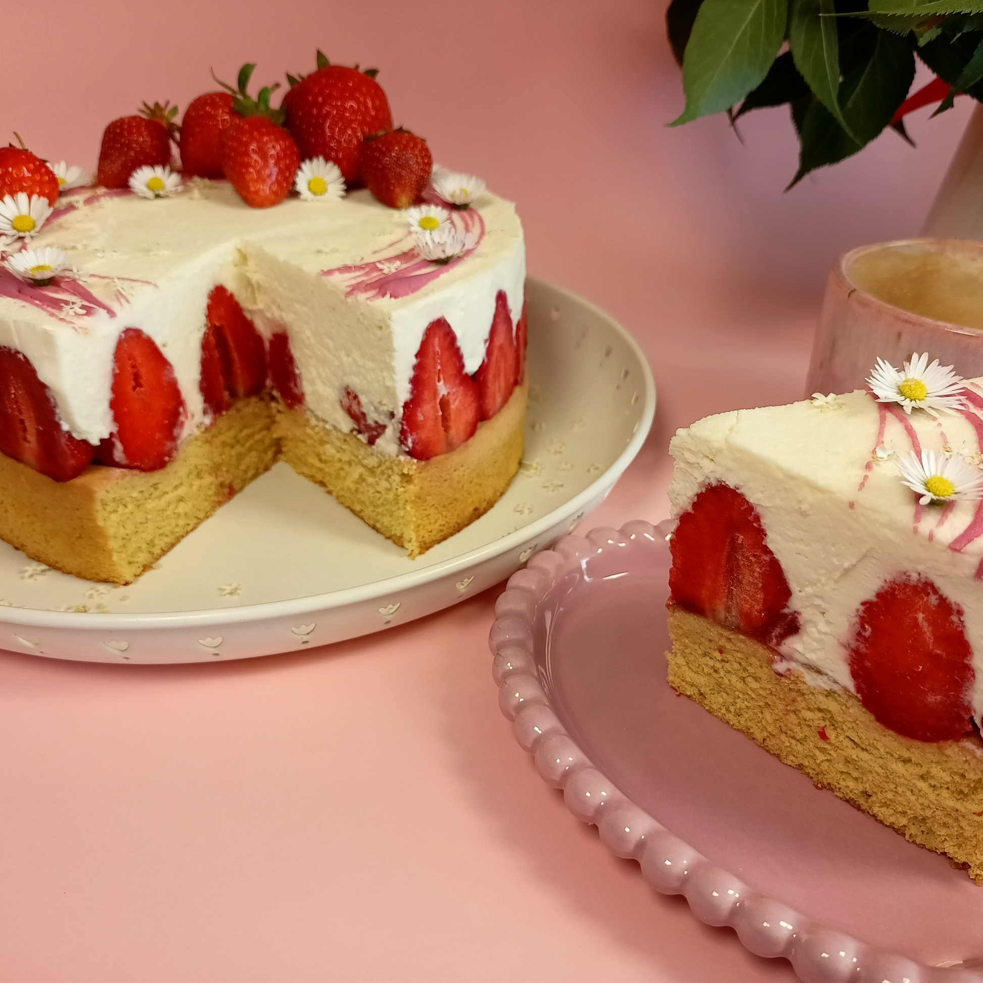 Jahodový dort s bílou čokoládou - fotonávod pdf