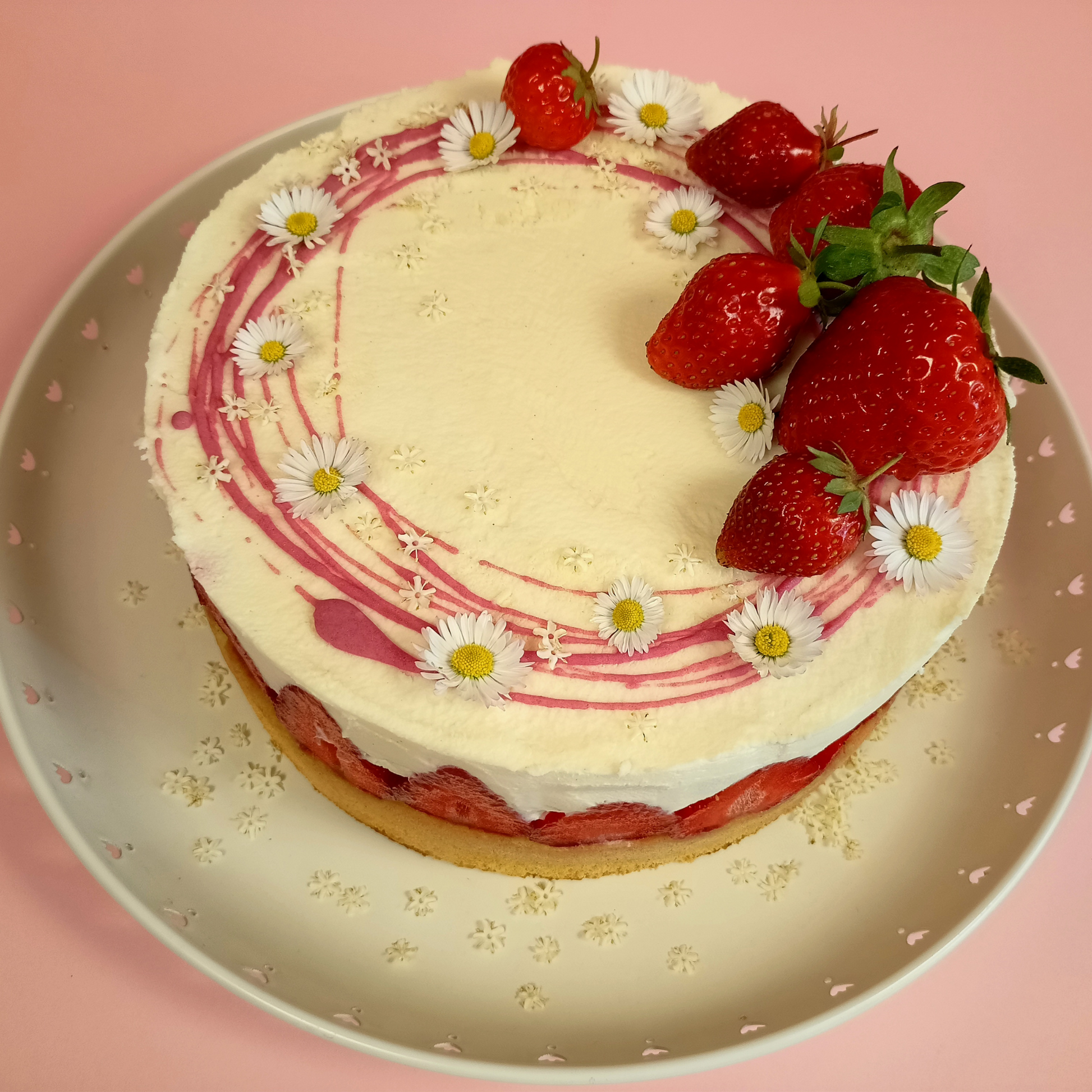 Jahodový dort se špaldovým korpusem - pdf fotonávod